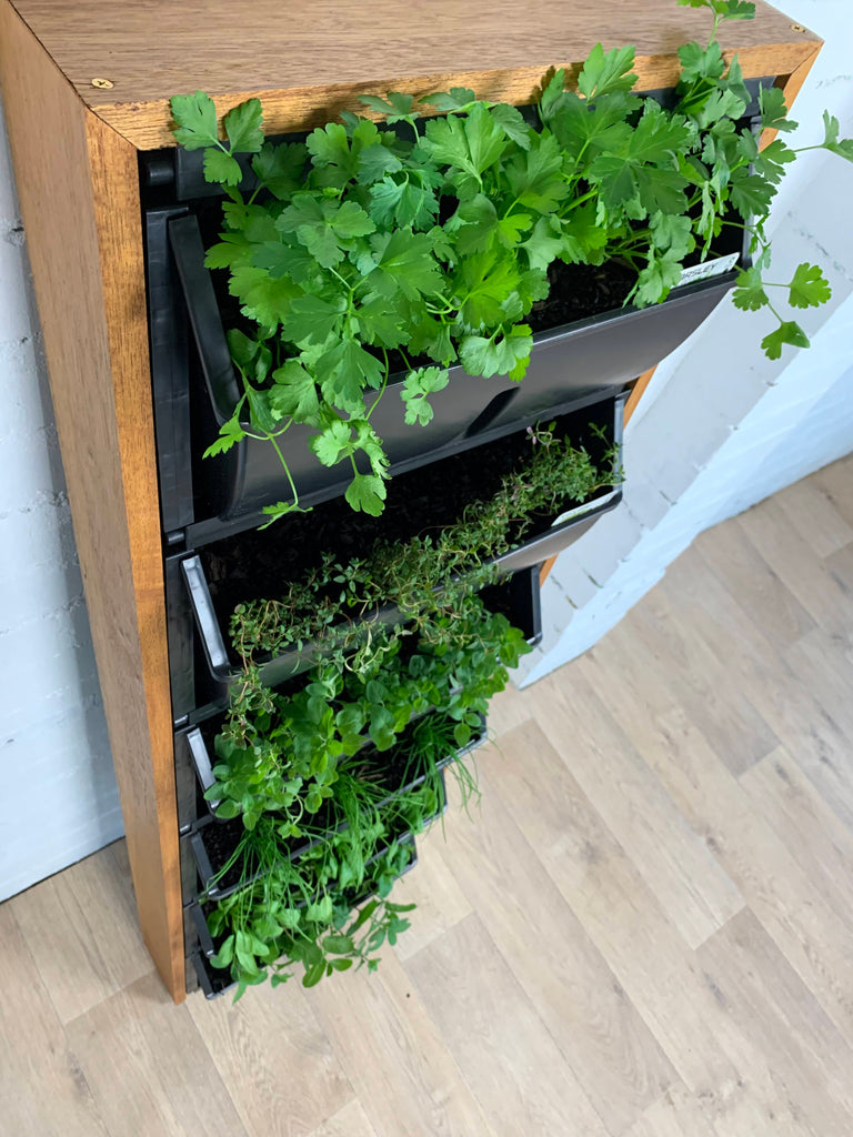 Edible Vertical Garden