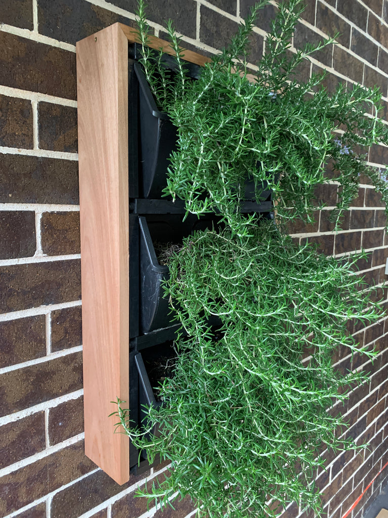 Edible Vertical Garden